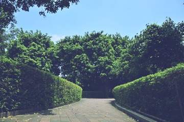 澄江行 039缩小.jpg