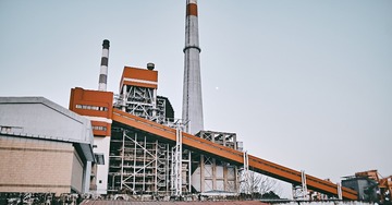 293817