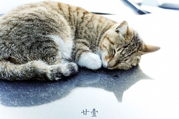 DSCF2504-胶片1