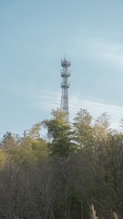 157406