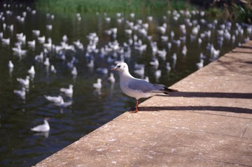 IMGP7648.JPG