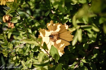 IMGP9616.jpg