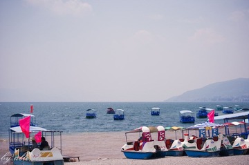 IMGP9718.jpg