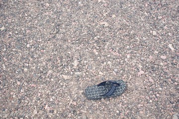 IMGP9796.jpg