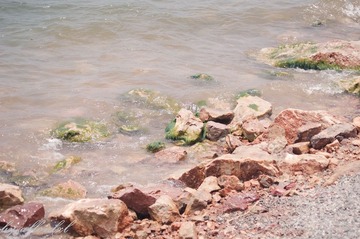 IMGP9798.jpg