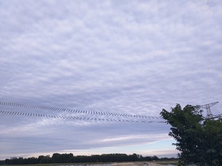 466945