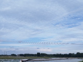 466899