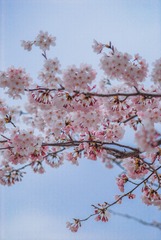 770CFF06-ED98-45A8-8562-ED56D7791876/L0/001