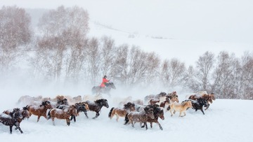 坝上踏雪