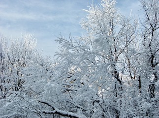 0F8D2330-C001-4C94-969B-DC2A265F2AC4/L0/001