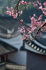 8D30CB86-95D6-4D78-A93F-ED74F7A40182/L0/001
