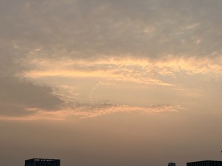 A771233B-1971-478E-B8A5-F891FBE56A69/L0/001