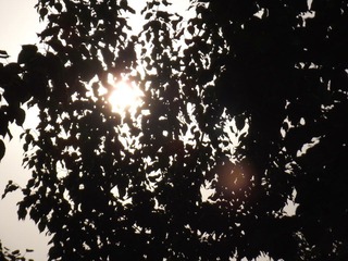 DSCF0105.JPG