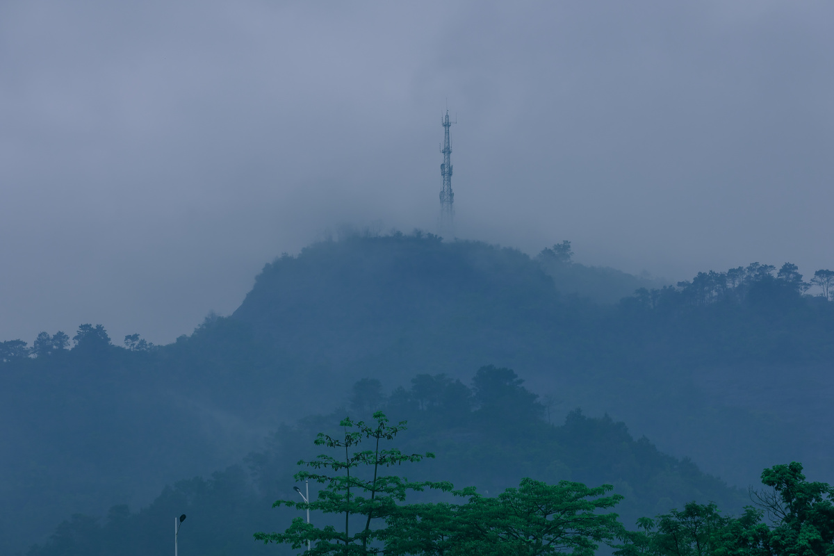 湿地公园细雨蒙蒙中的景色