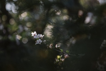 574316