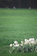 A455D2C7-6F27-4408-AF53-0C5952CC4748/L0/001
