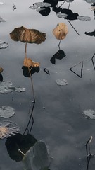1370560