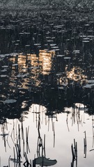 1370550