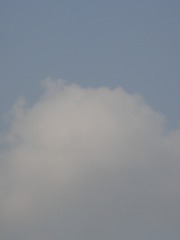 CDCFC38D-60A4-486E-AD42-F43251D6F368/L0/001