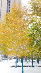 A3AC4477-1ABC-491C-B42A-FC1FF033BC6B/L0/001