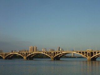 1155164