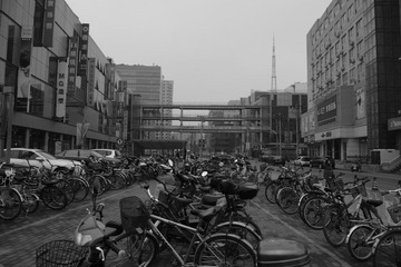 IMGP19612.jpg