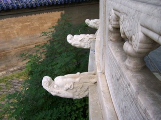 101_2404.JPG