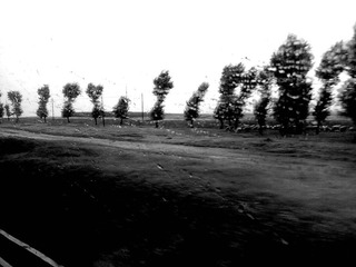 201207222401.jpg