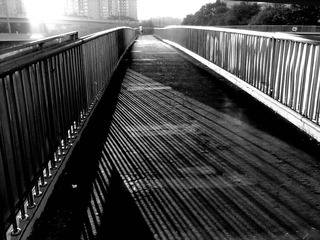 201207292588.jpg