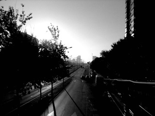 201207292596.jpg