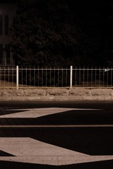 IMGP7266_HZP.jpg