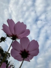 B019D474-5DA5-468E-9808-681A35C768DD/L0/001