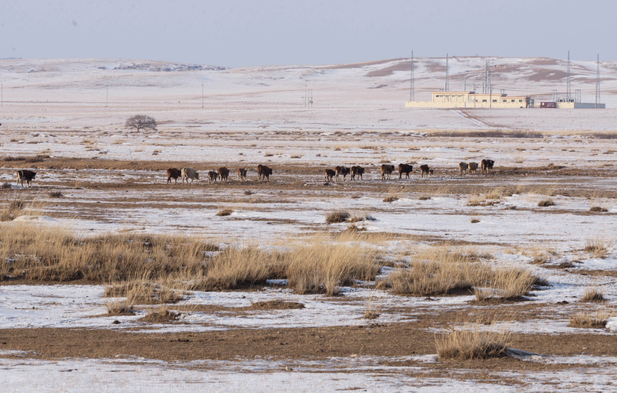 冬季的内蒙古大草原