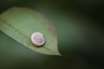 354065