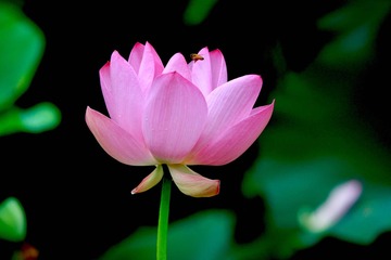 001
