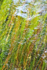 IMG_3715s.jpg