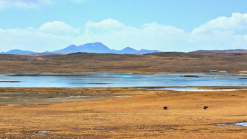 IMG_0510s.jpg