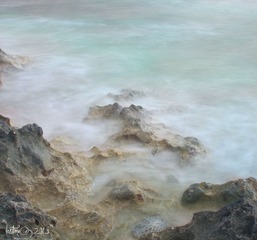IMG_5613.jpg