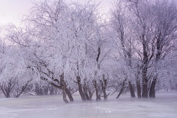 09669B49-41E3-4650-B47A-7F26B1AC5AD7/L0/001