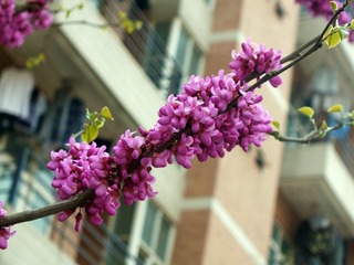 DSCF4493.jpg
