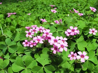 DSCF5500.jpg