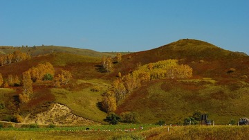 IMGP5956_dh