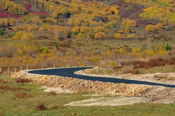 IMGP6194_dh