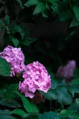 F33E8D12-17B1-43DD-9738-F3B5C737DEF1/L0/001