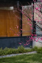 C4FEB48A-5031-4C5B-BF8B-3BA1D05EE26D/L0/001
