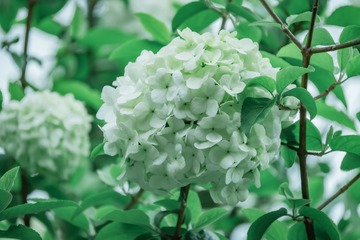 6DC8322C-17EF-4435-925E-3B398CD3D1FA/L0/001