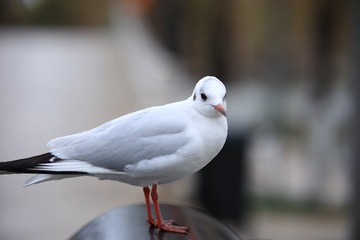 378122