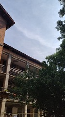 1000059085