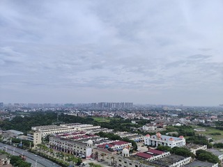 1000067612