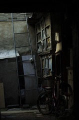 IMGP5940.jpg
